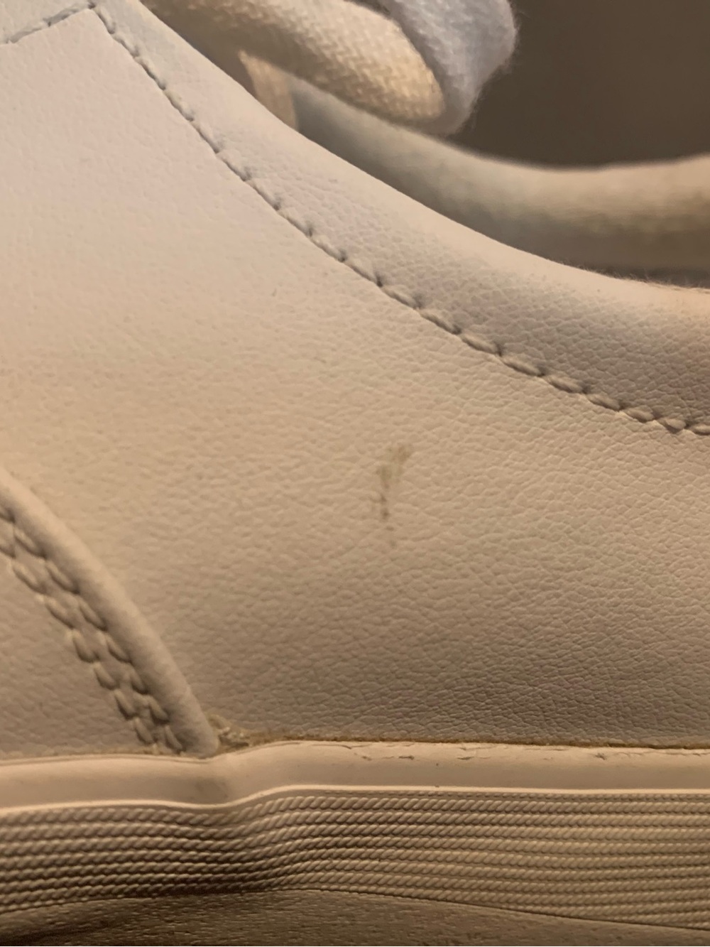 Grasshoppers Ortholite Janey II Women's White Lace-Up Sneakers - Picture 12 of 13